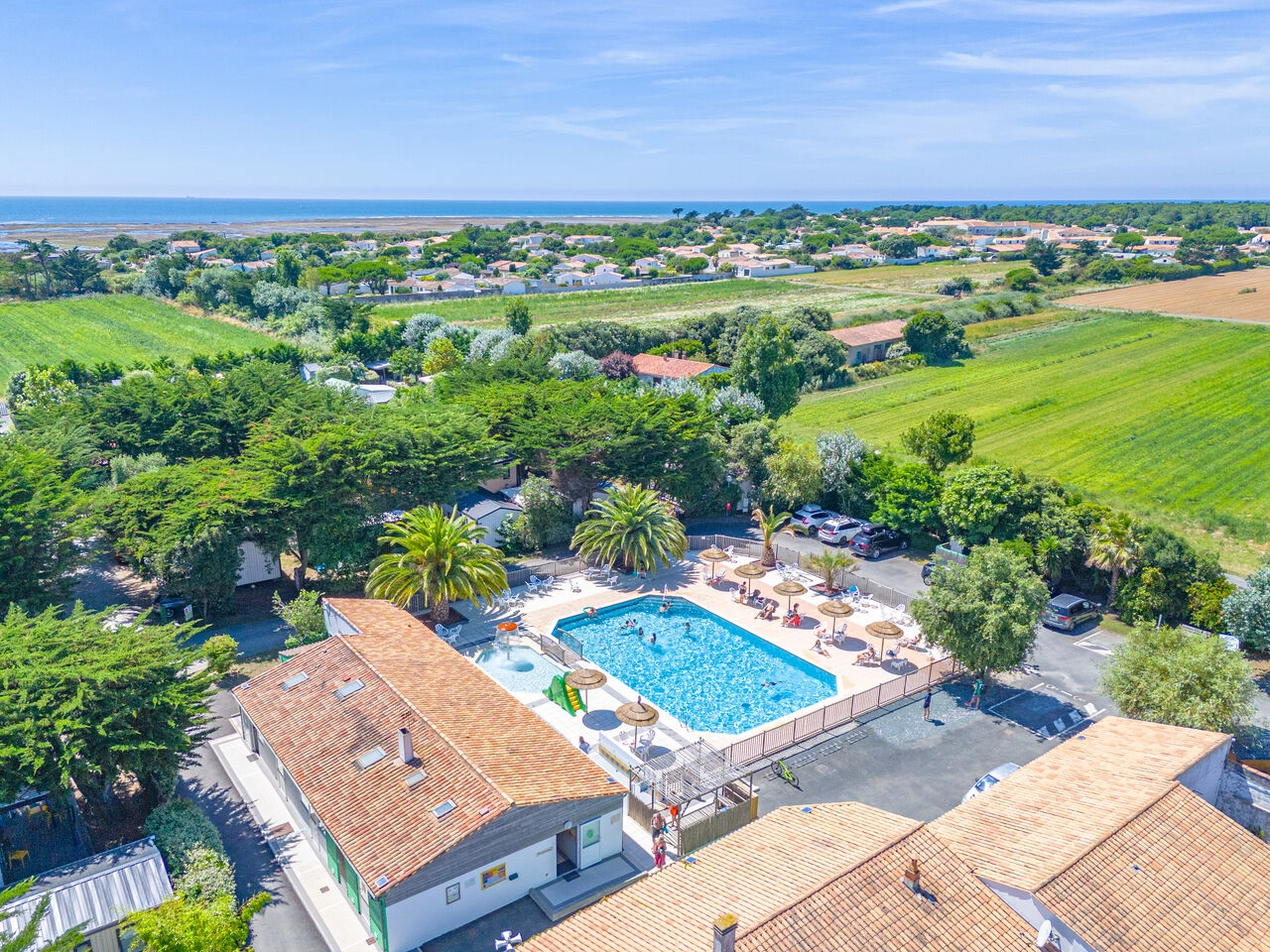 LE CAMP DU SOLEIL ****
