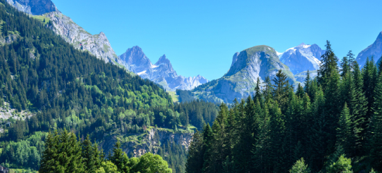 KAMPEREN IN HET HART VAN DE ALPEN