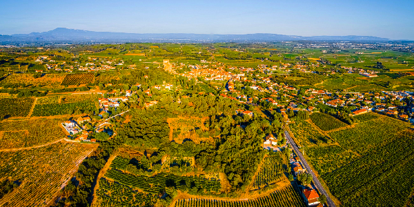 BESTEMMING VAUCLUSE