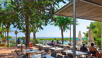 Faciliteiten camping LE VILANOVA PARK